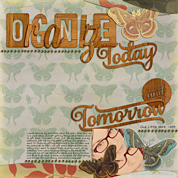 OLW 2013 - Organize