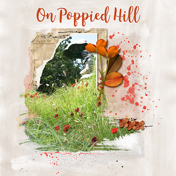 On Poppied Hill