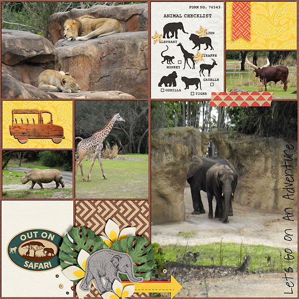 On Safari