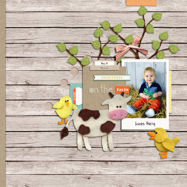 on the farm