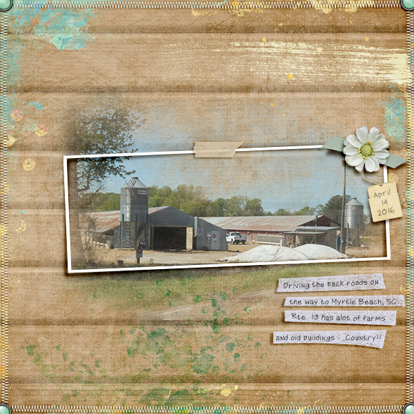 On the Farm
