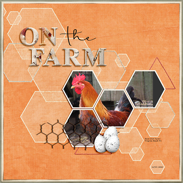 On the Farm