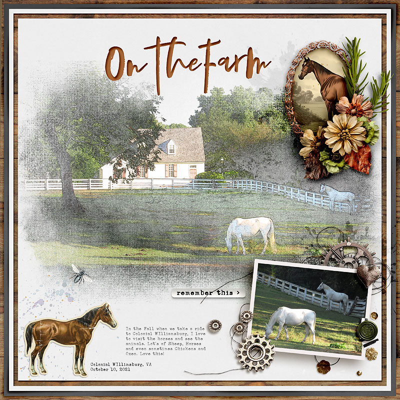On the Farm
