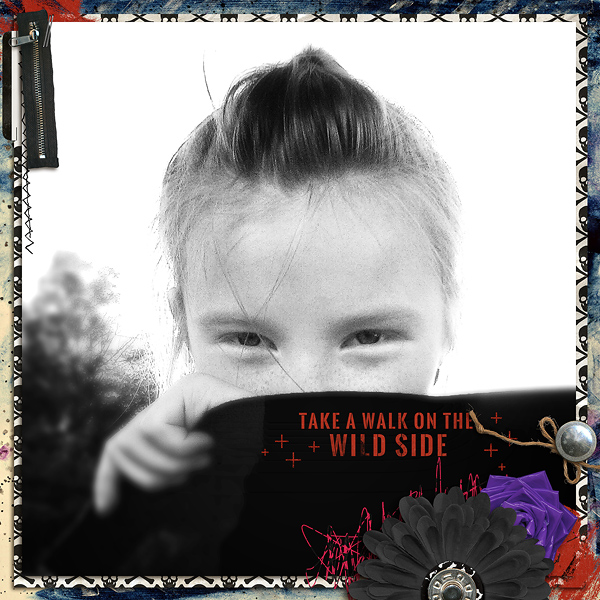 On the Wild Side