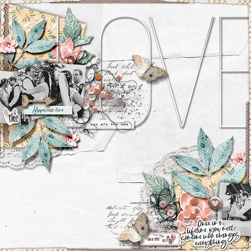 Once In A Lifetime Love