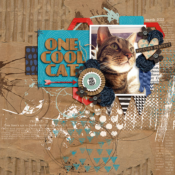 one cool cat