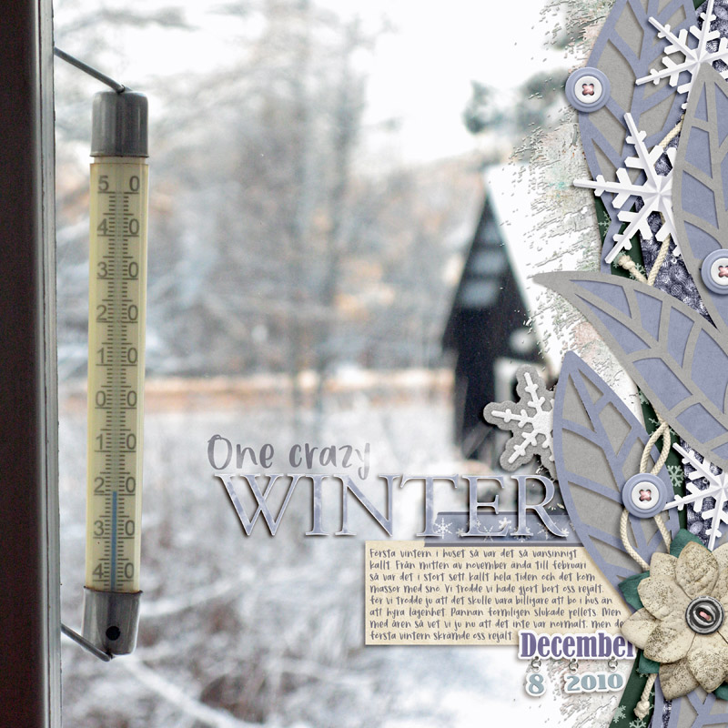 One Crazy Winter