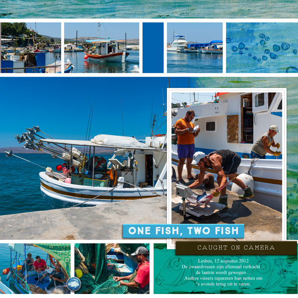 One fish - two fish