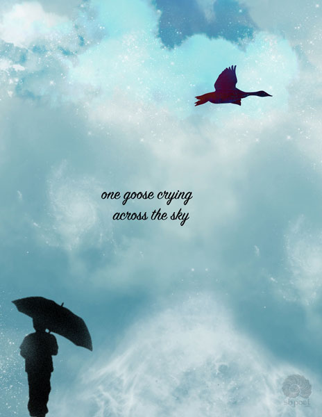 one goose crying | across the sky
