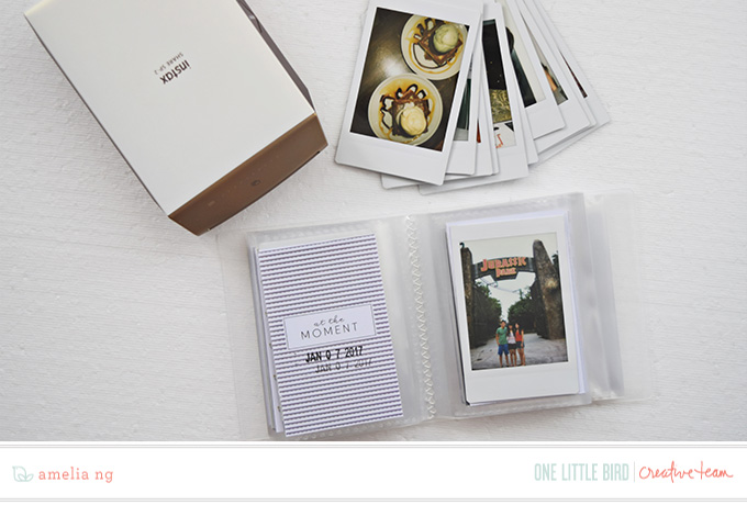 One Little Bird - All Things Considered