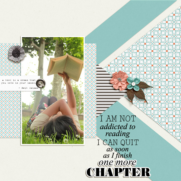 One More Chapter