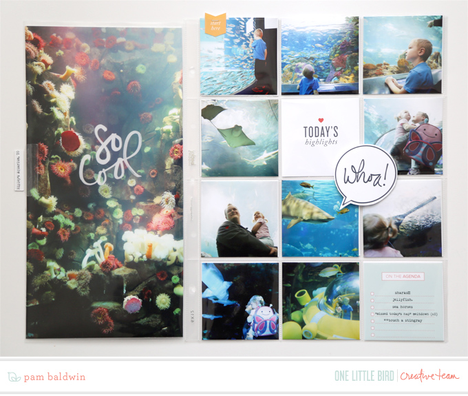 Onelittlebird-agenda-bypambaldwin2