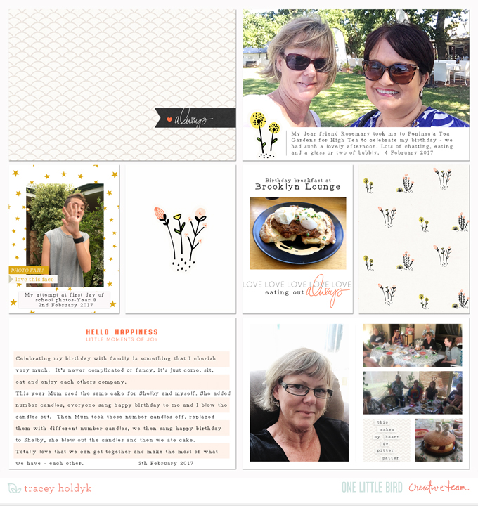 Onelittlebird-allthingsconsidered-bytraceyholdyk1