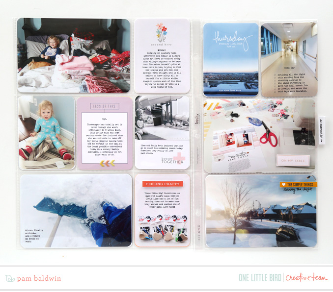 Onelittlebird-febproject-bypambaldwin