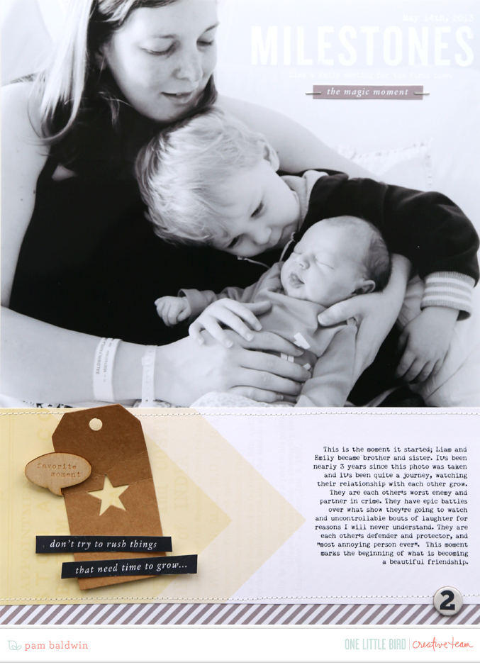 Onelittlebird-milestone-bypambaldwin