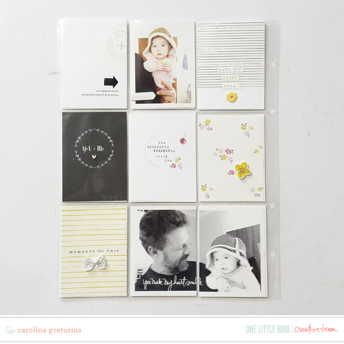 Onelittlebird-sugarcoated-bycarolinapretorius01