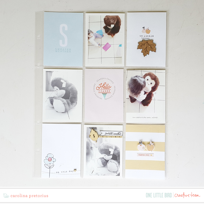 Onelittlebird-turningleaves-bycarolinapretorius01