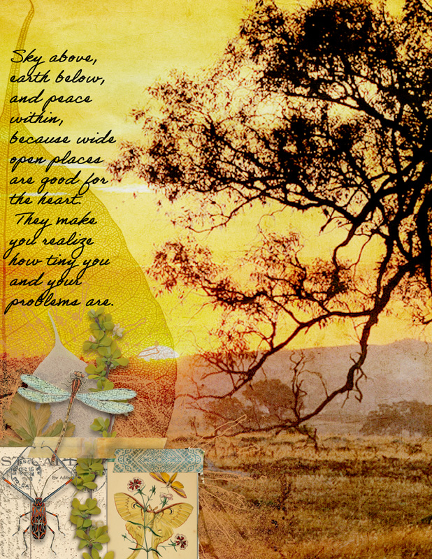 Open Spaces