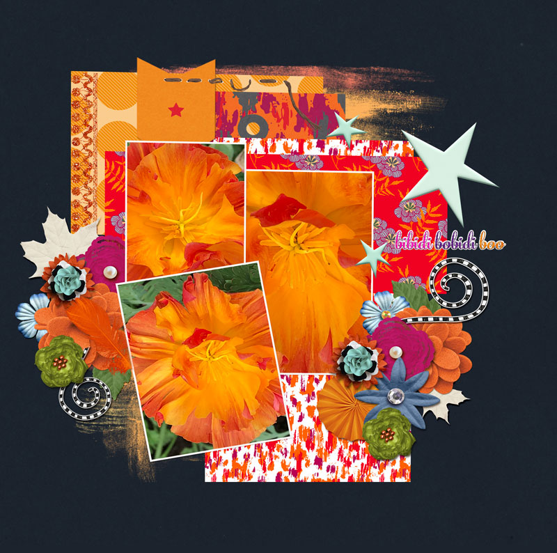 Orange Explosion
