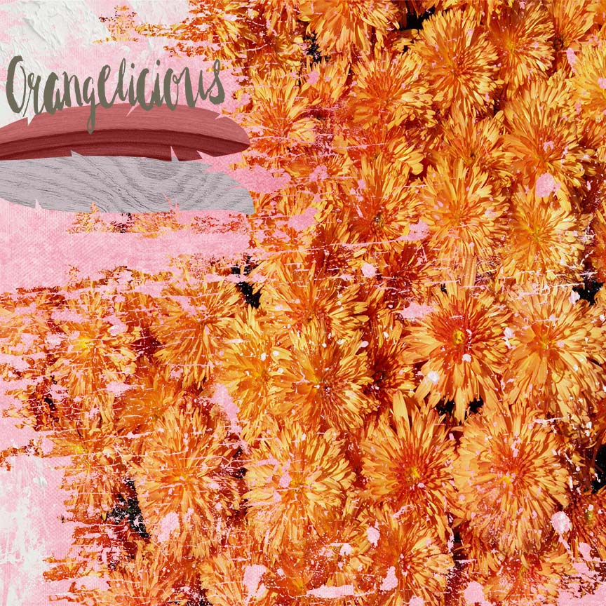 Orangelicious