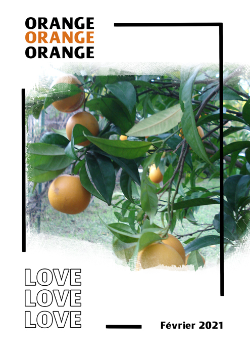 Oranges