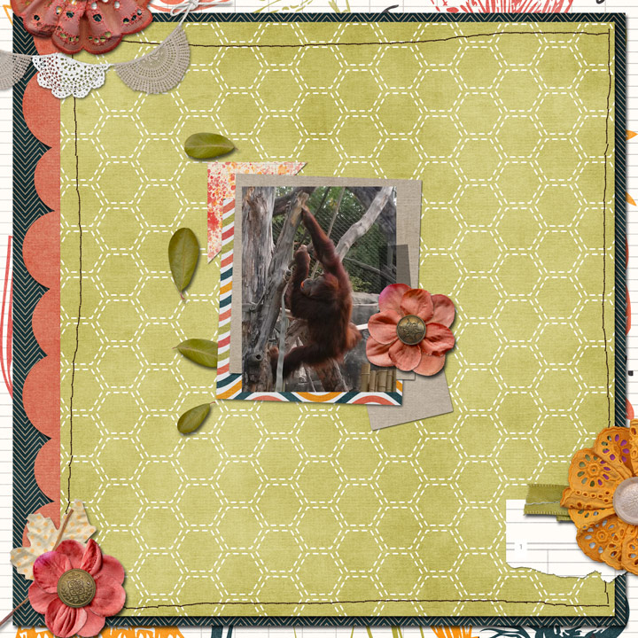 Orangutuan