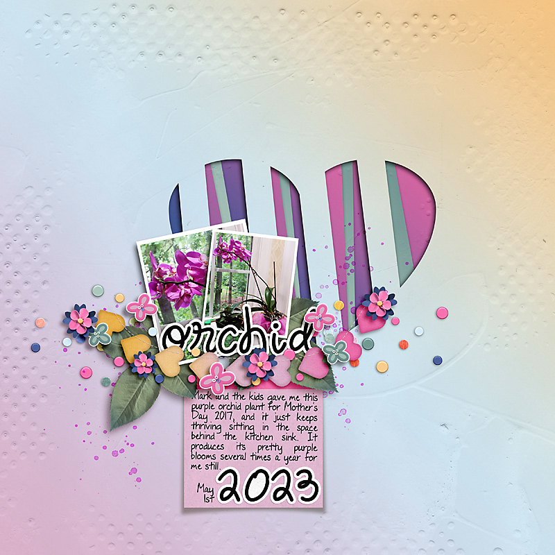 Orchid 2023