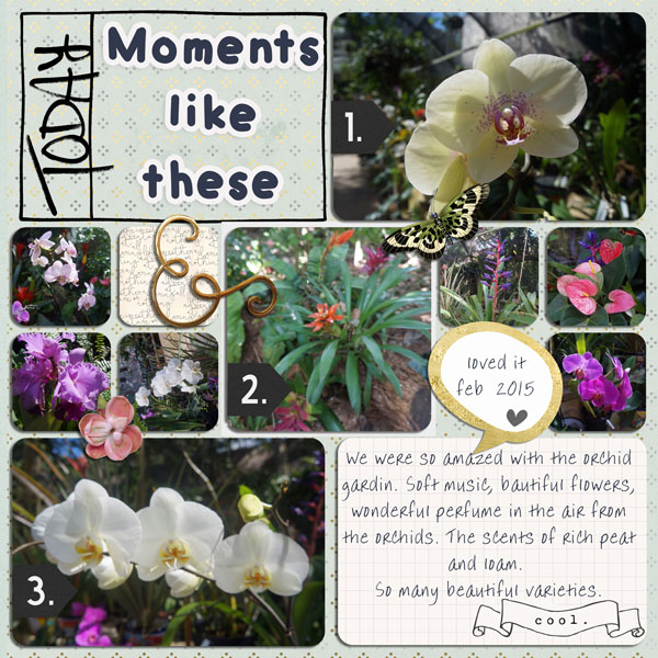 Orchids