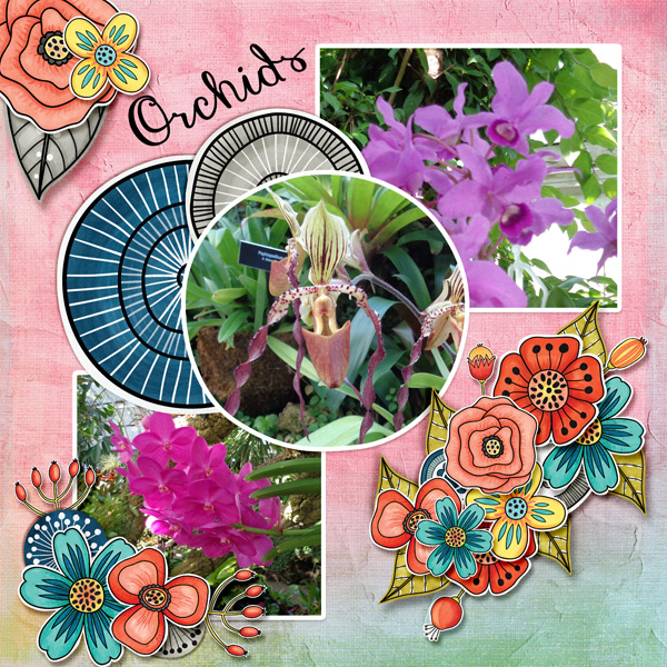 Orchids