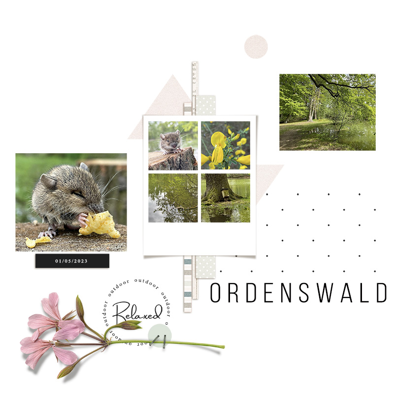 ordenswald