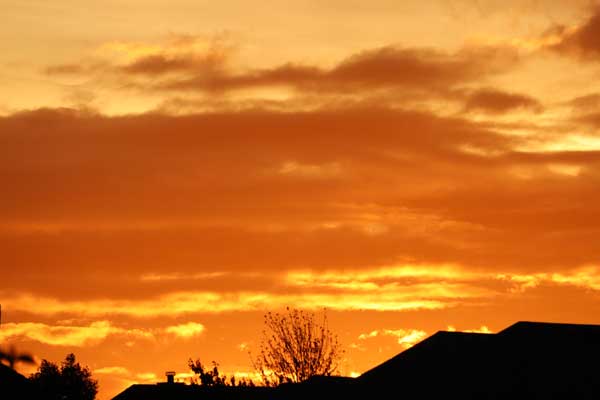 original photo for jan 22 challenge