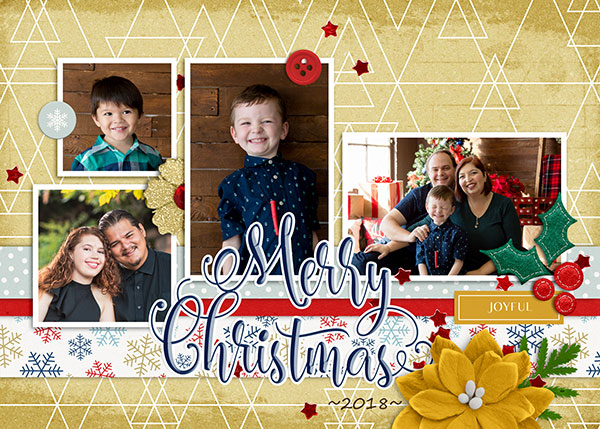 Our 2018 Christmas Card