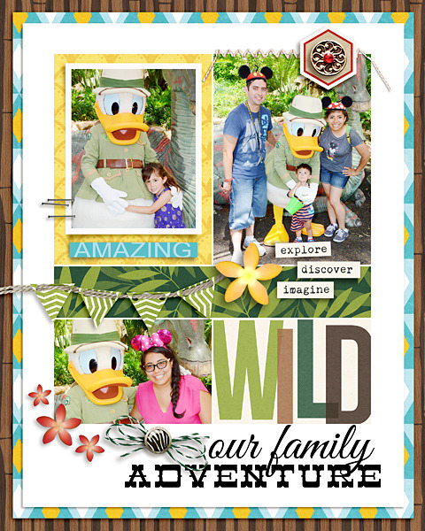 Our Family Adventure