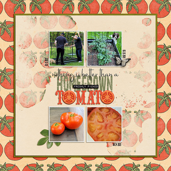 Our First 2021 Tomato!