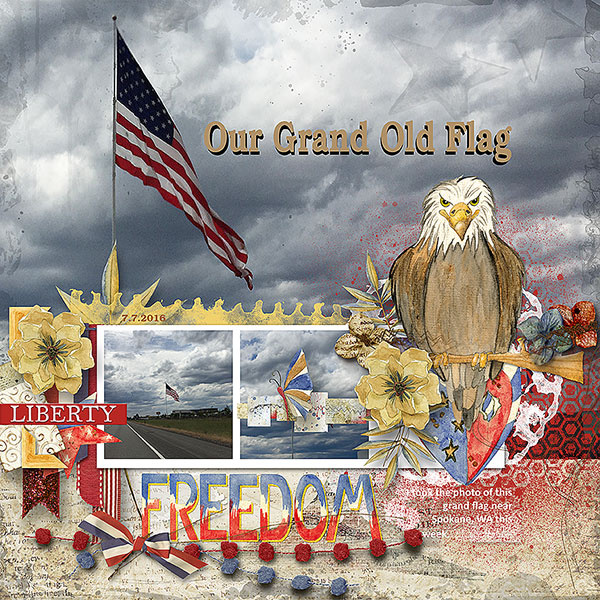 Our-Flag
