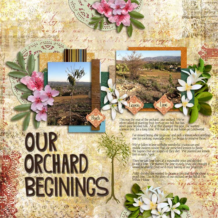 Our Orchard Beginnings