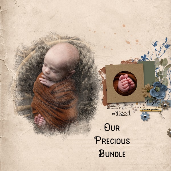 Our Precious Bundle