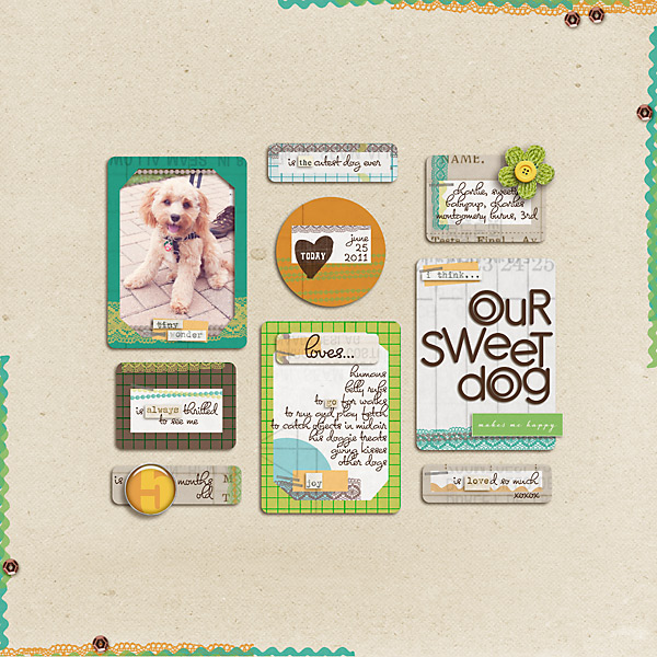 Our Sweet Dog