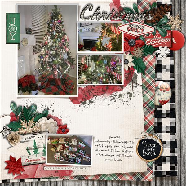 OUR TREE!