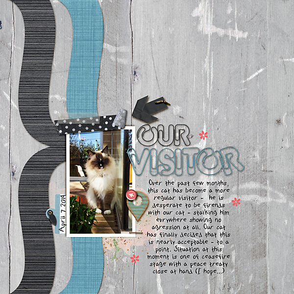 Our-visitor