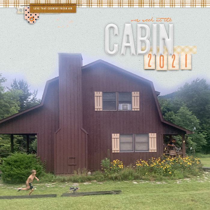 Our week at the Cabin Page 1