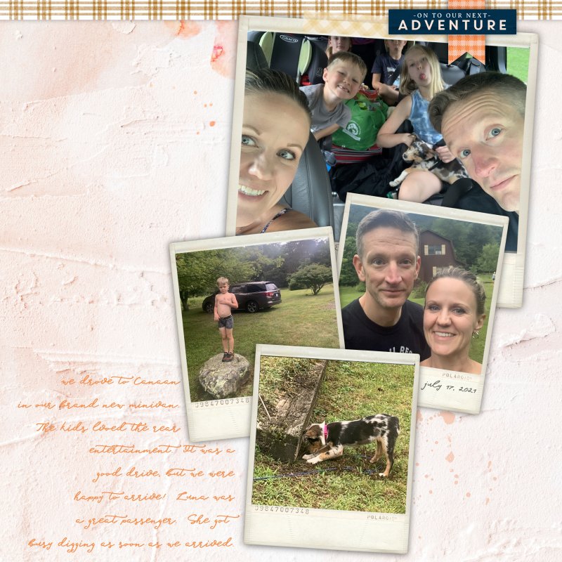 Our week at the Cabin Page 2