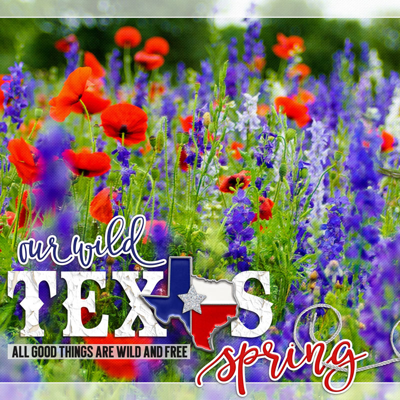Our Wild Texas Spring (PAGE 1)