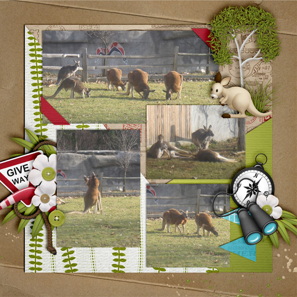 Outback Adventure2