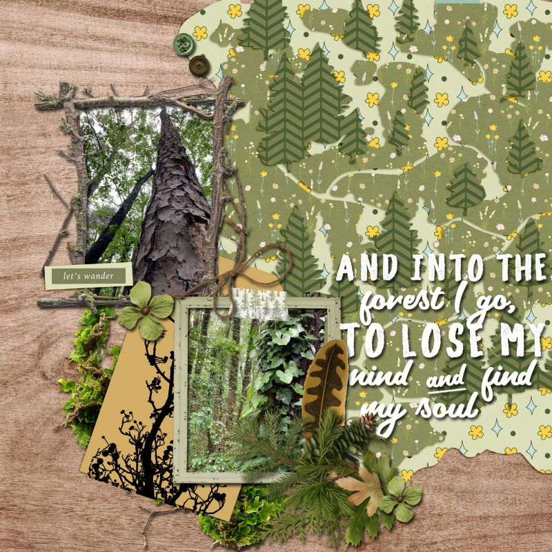 Outdoor Adventures - Forest (iNSD'24)