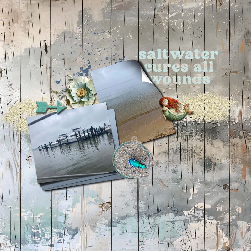 Outdoor Adventures - Ocean & Sea (iNSD'24) 1