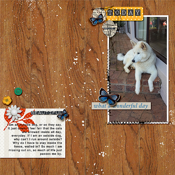 Outside Dog