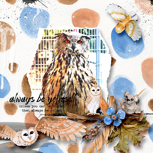 Owl Love