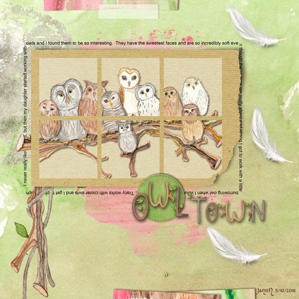 Owl Town - May Challenge
