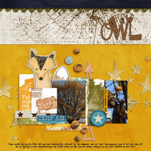 Owl